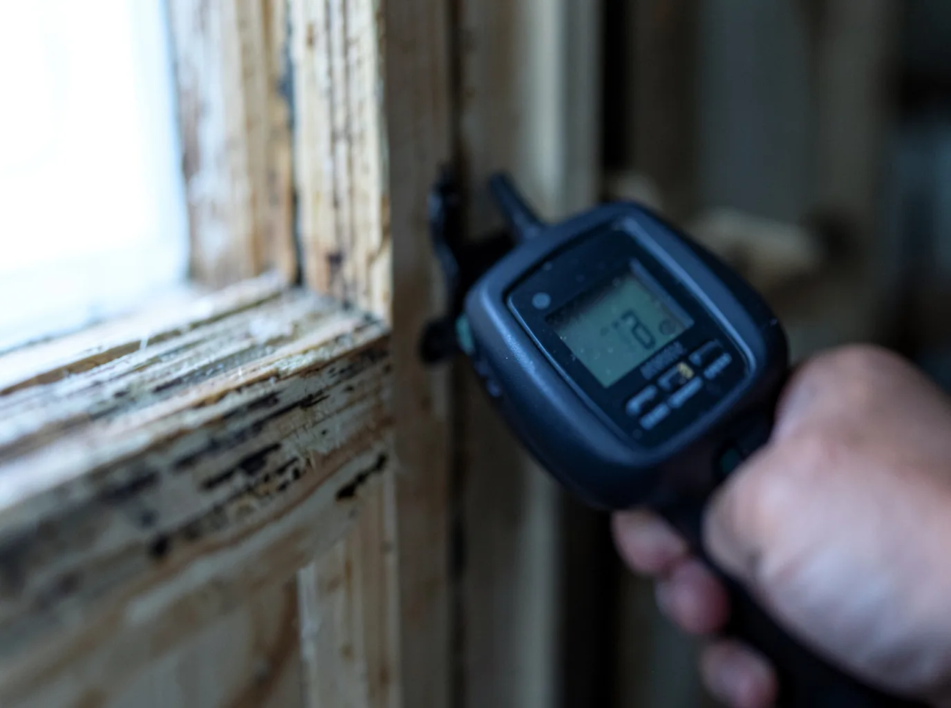 Water Damage Restoration Ward, CO FAQs
